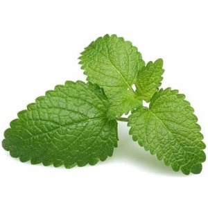 Melisa drobljena 50 g