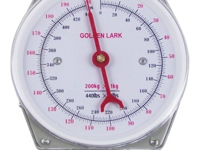 Viseča vzmetna tehtnica 100kg